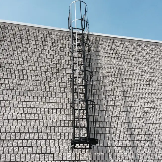 Custom roof access ladder with a flip-up security lid